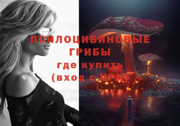 apvp Балахна